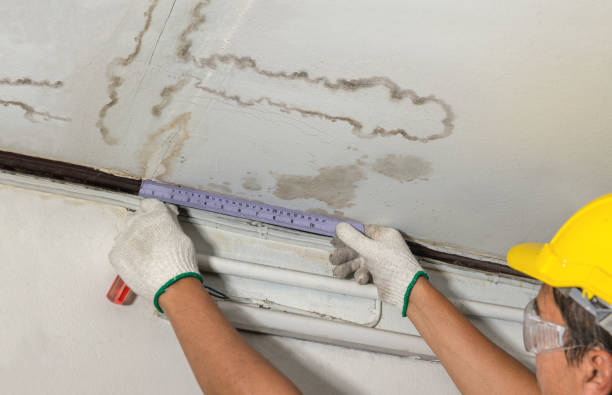 Reliable Water Damage contractor in Exeter, ME by Water Damage Irwin